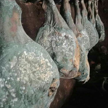 巧家农家火腿，一等品