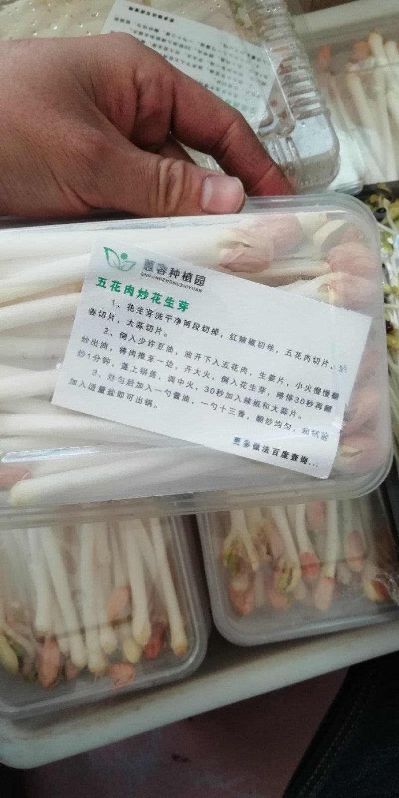 水培绿色芽苗菜