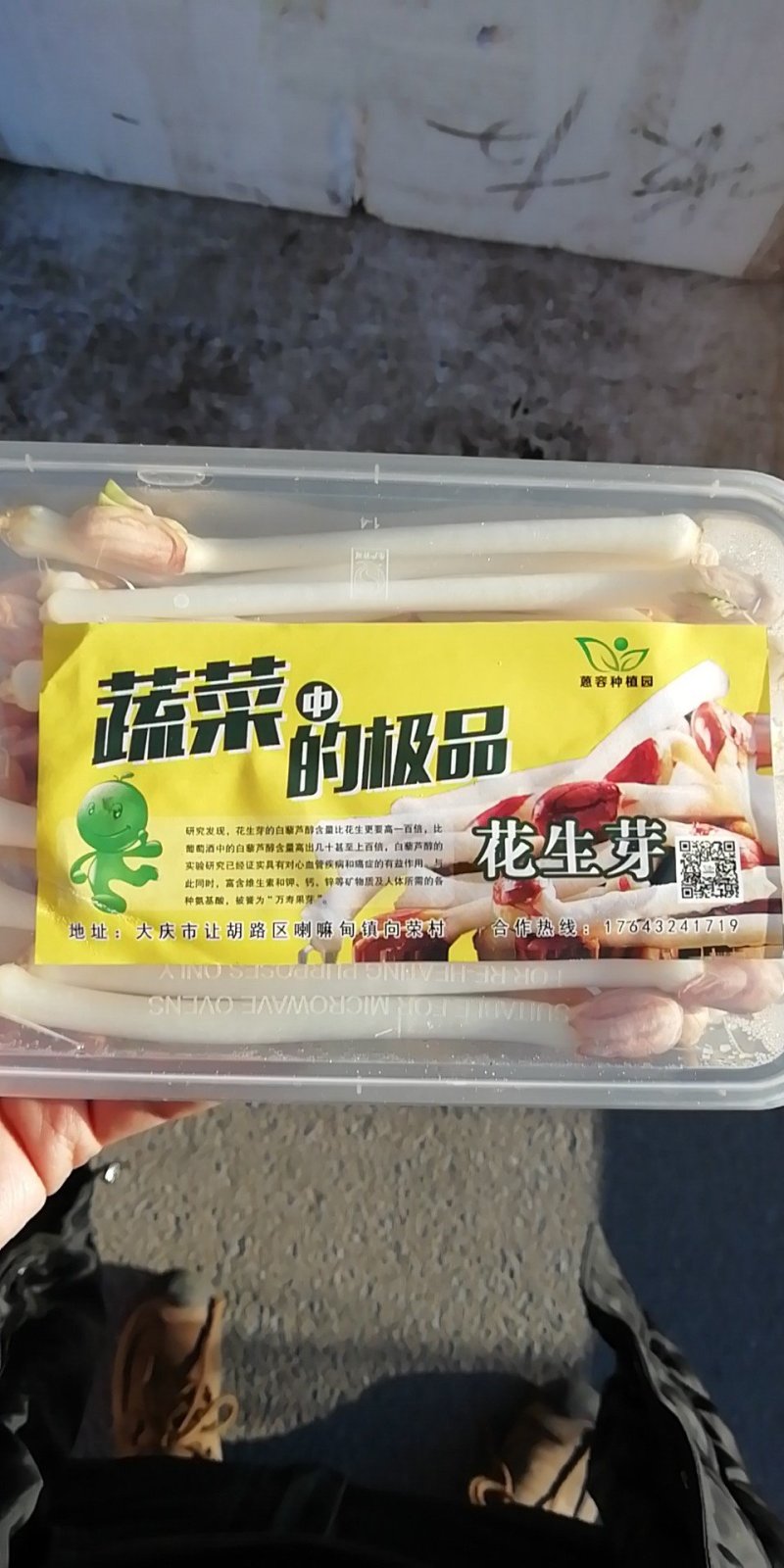 水培绿色芽苗菜