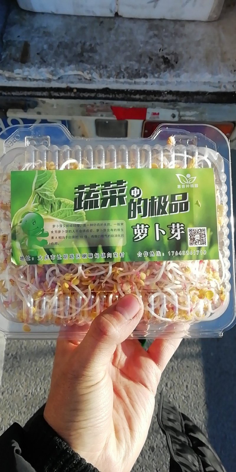 水培绿色芽苗菜
