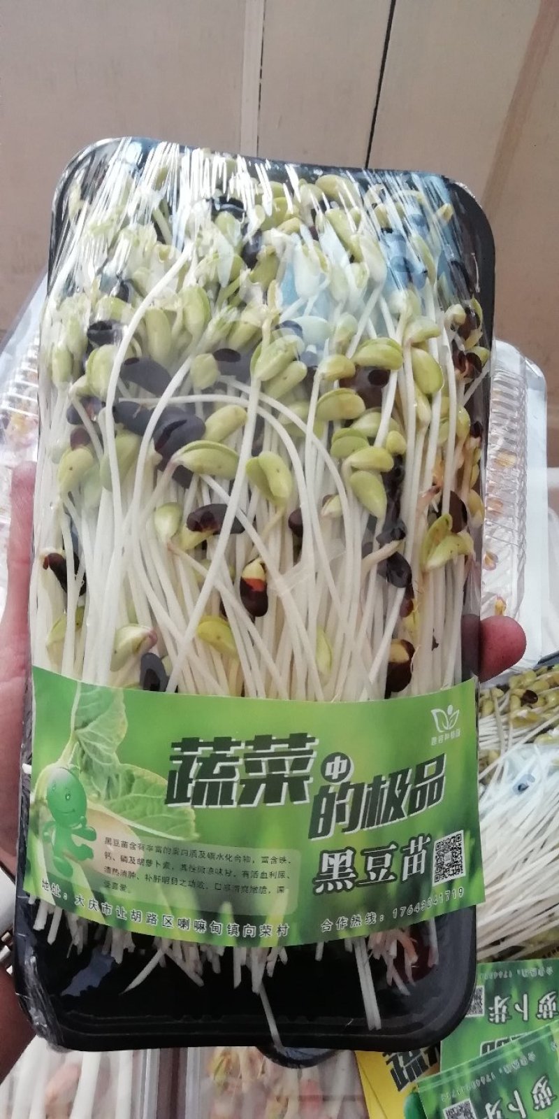 水培绿色芽苗菜