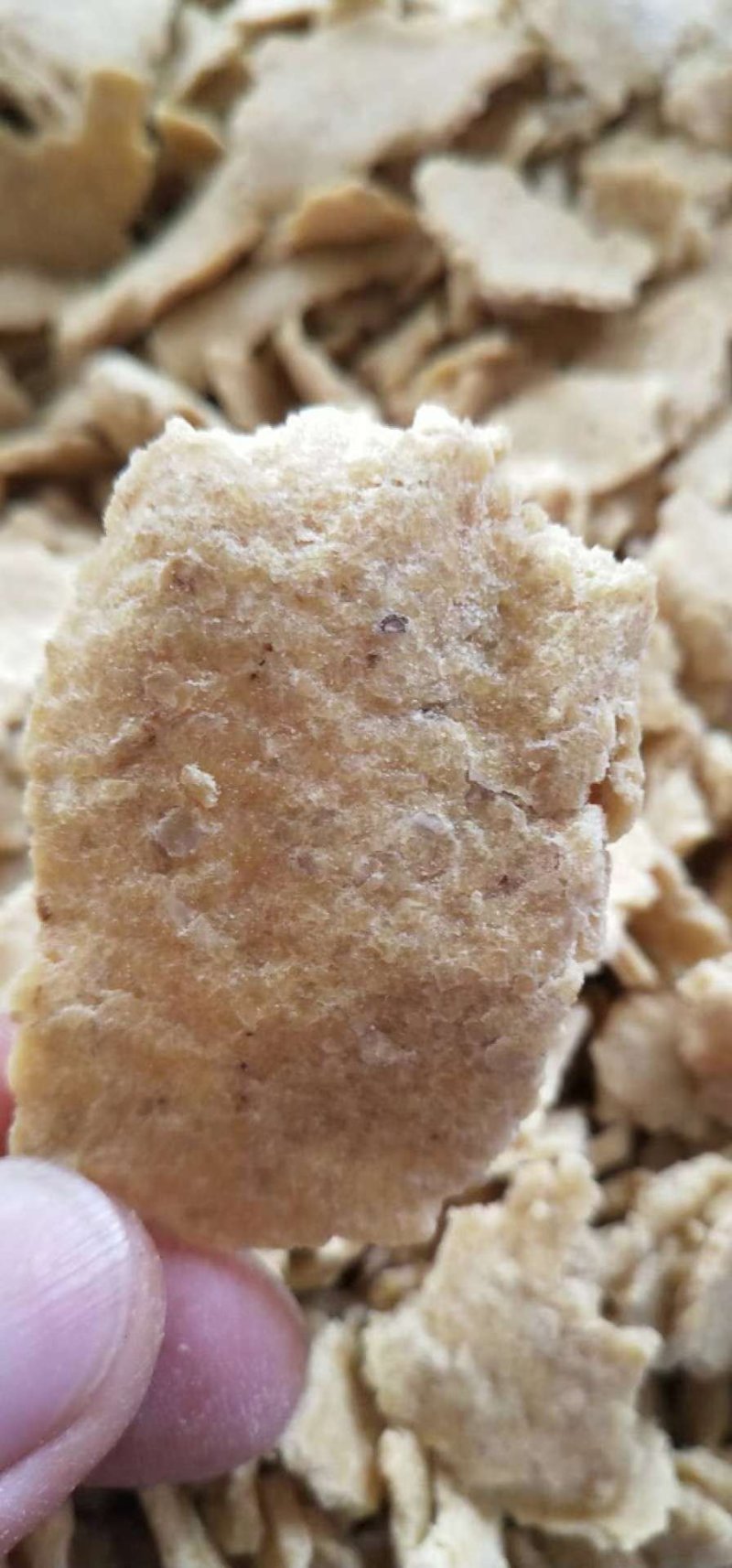 优质豆饼