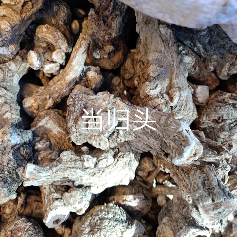 云南当归头
