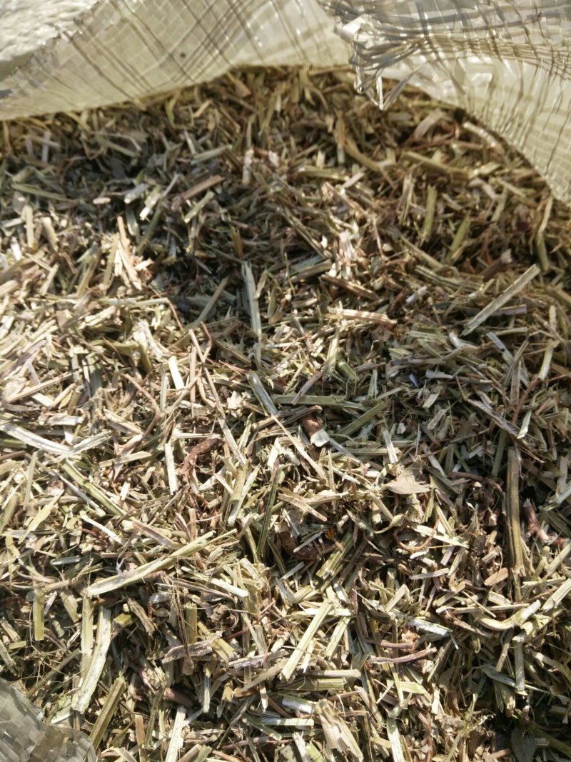 花生秧