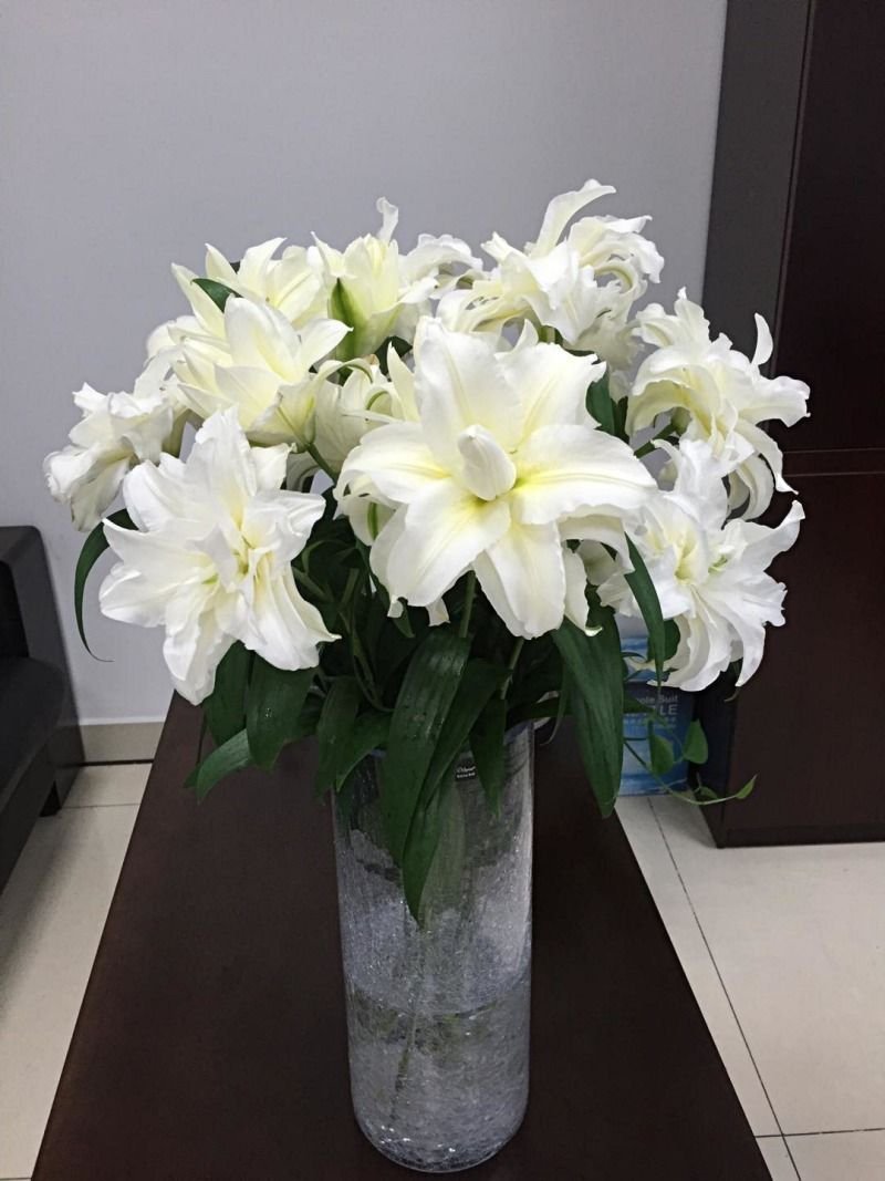 【优质】百合花重瓣百合花百合鲜切花一件代发