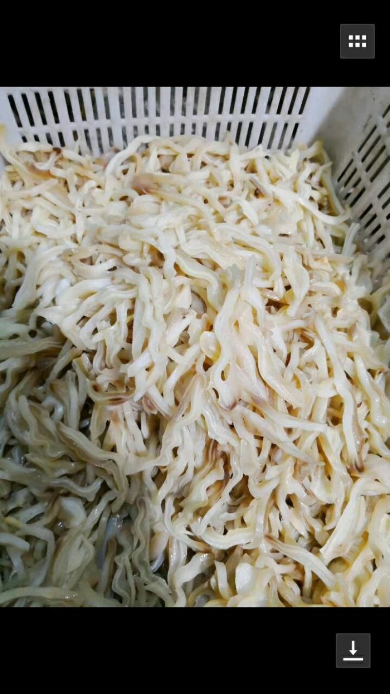 牛耳丝