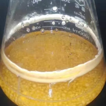 菌棒出菇捧出菇包