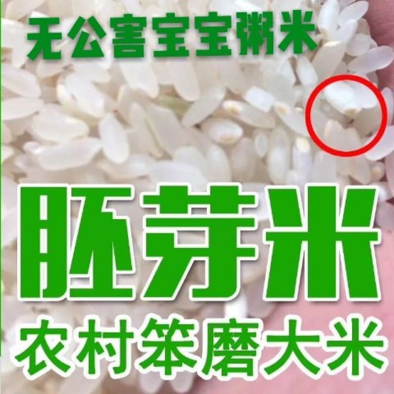 现磨活胚芽大米宝宝粥米