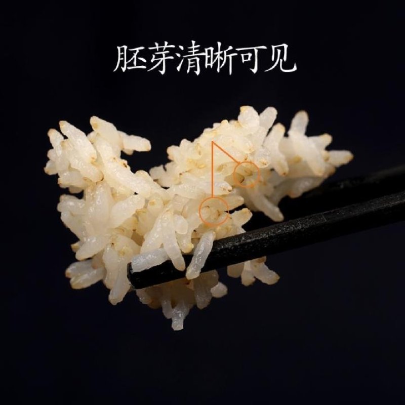 现磨活胚芽大米宝宝粥米