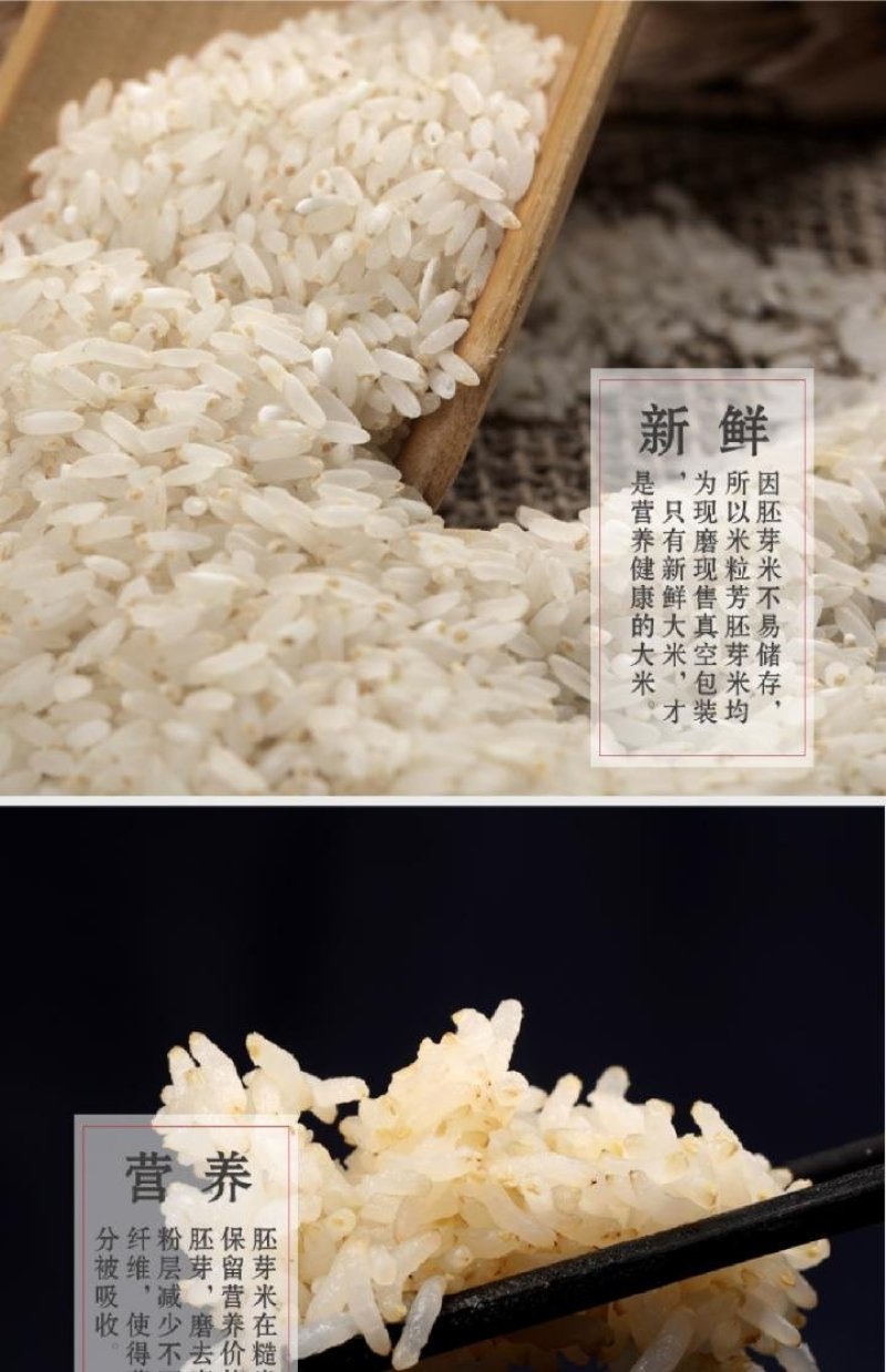 现磨活胚芽大米宝宝粥米