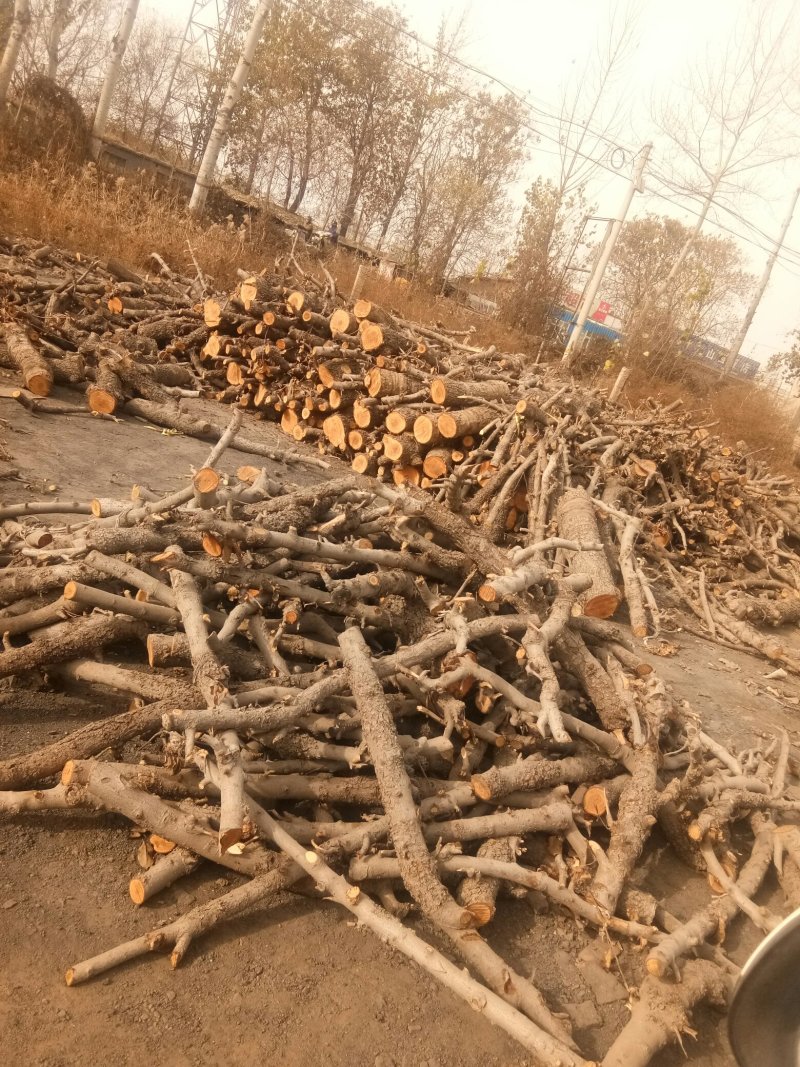 干果木湿果木炭还有烧炭的木料有需要的联系我。