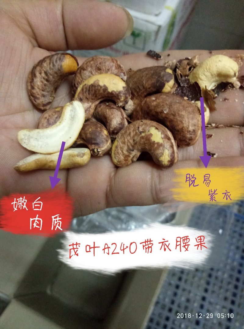 茂叶A240带皮腰果紫衣腰果10kg/桶2桶/箱