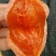 隐士柿饼