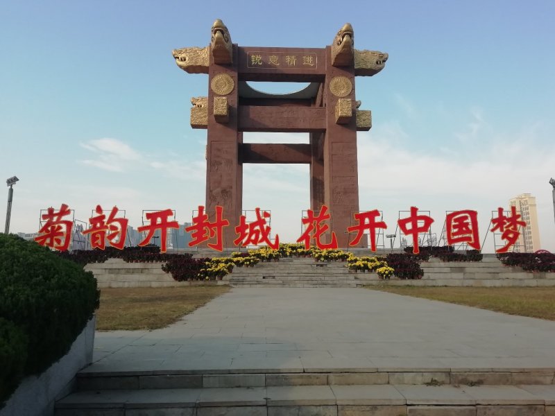 金丝皇菊茶