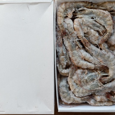 多尔虾青虾规格40-50