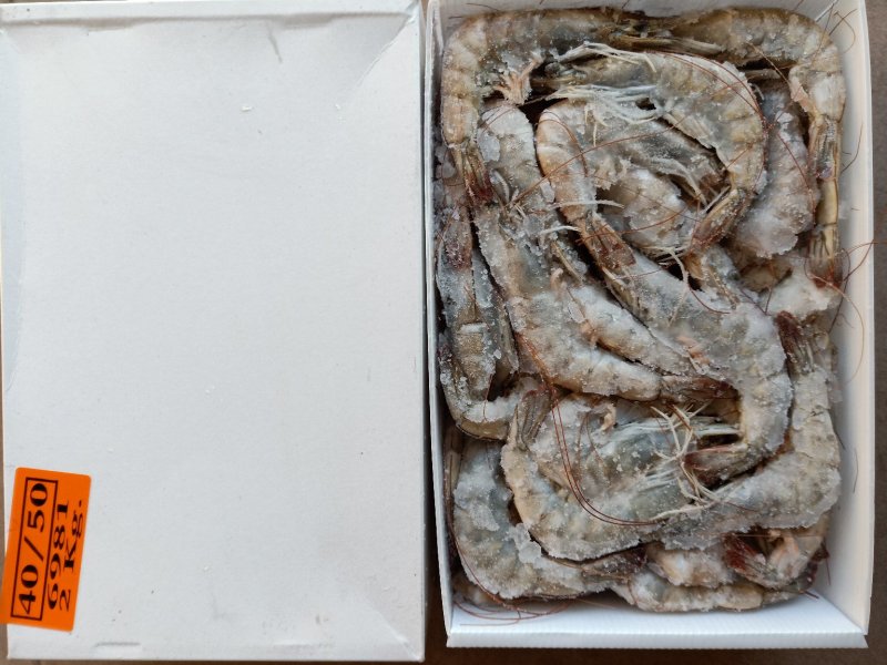 多尔虾青虾规格40-50