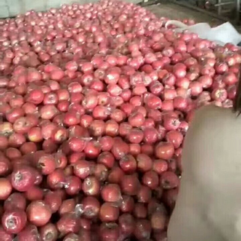 红富士苹果膜袋纸加膜纸袋大量供应中