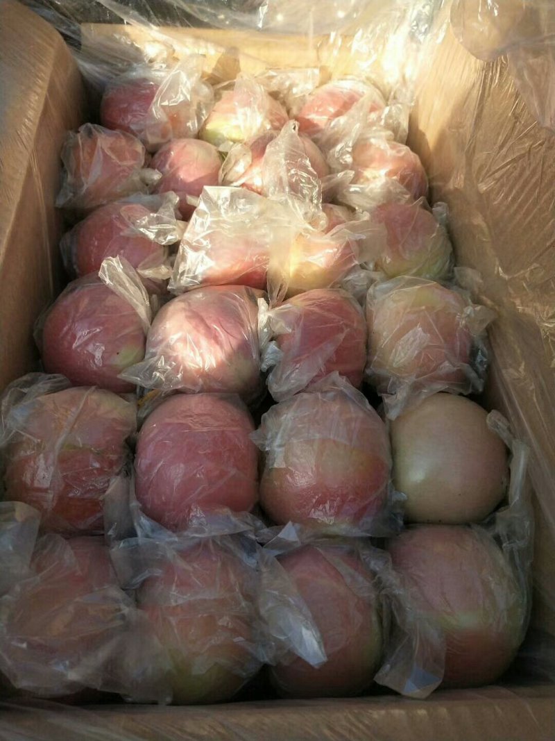 红富士苹果膜袋纸加膜纸袋大量供应中