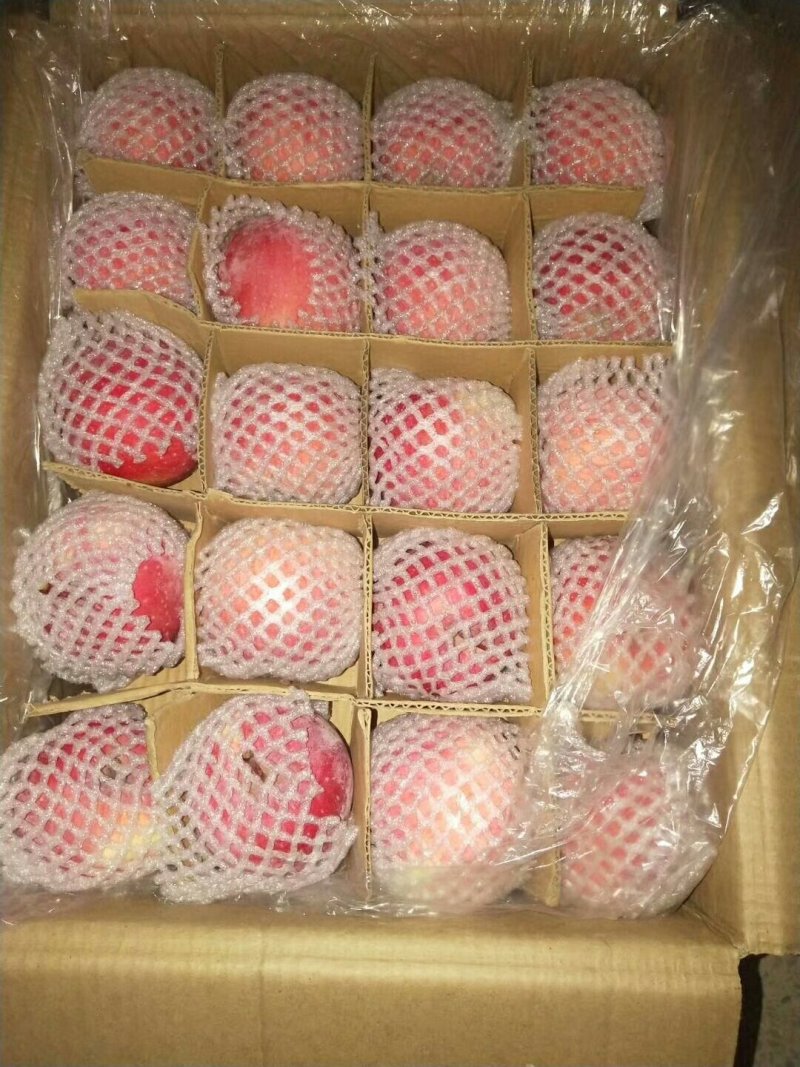 红富士苹果膜袋纸加膜纸袋大量供应中