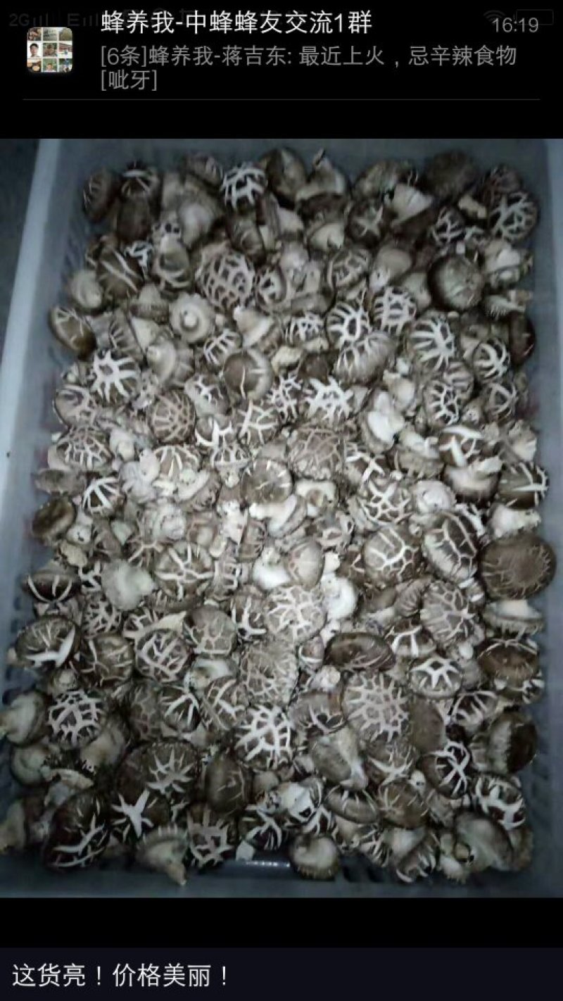 食用菌