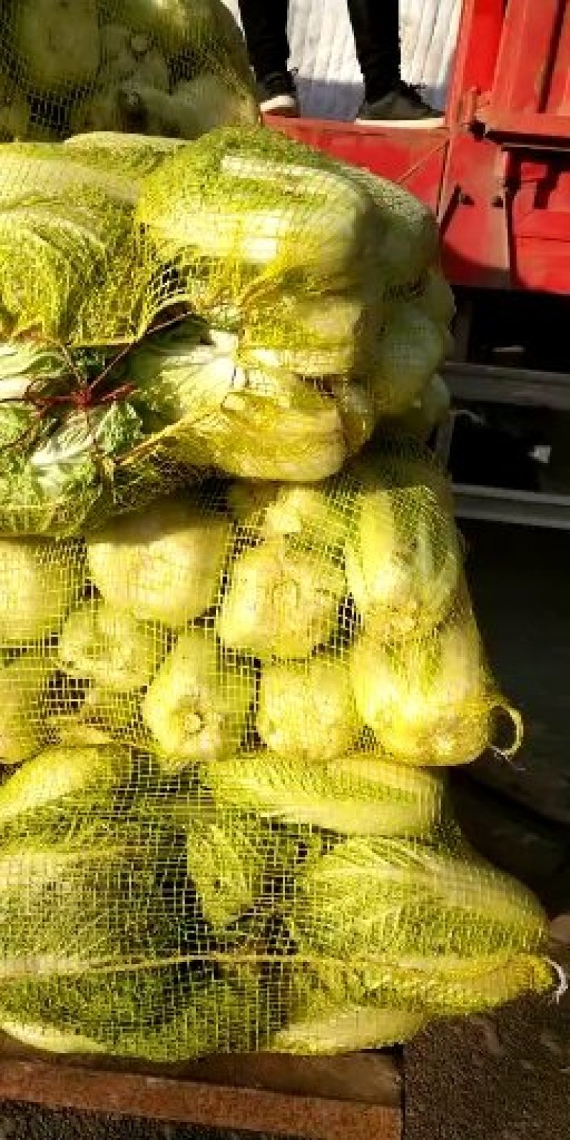 娃娃菜，精品