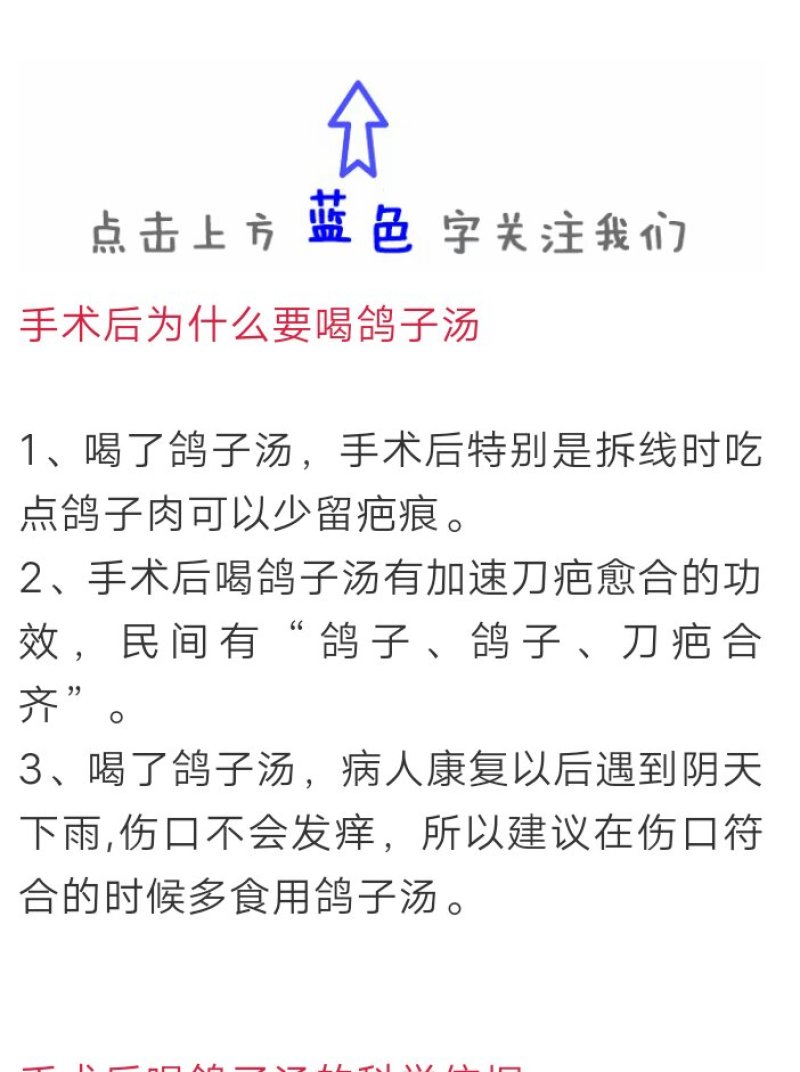 信鸽