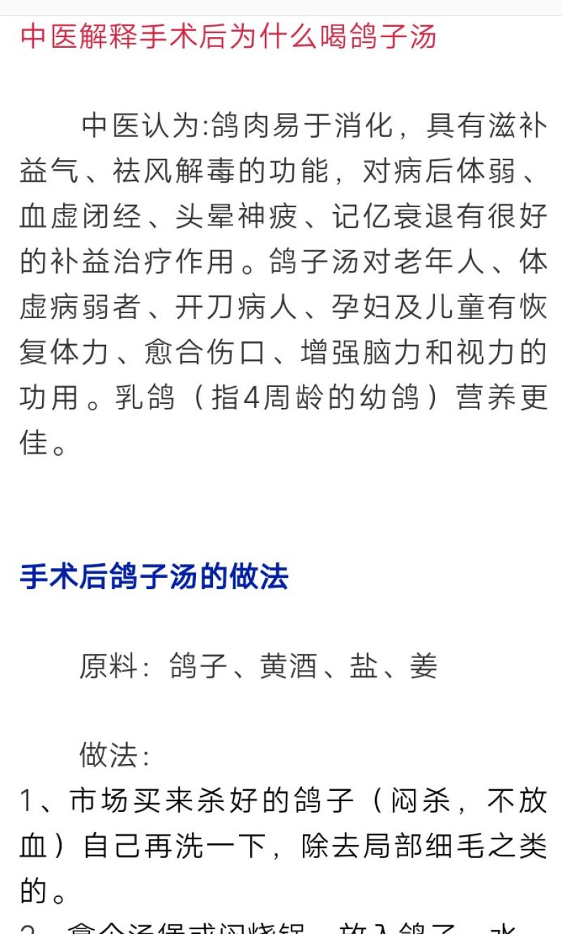 信鸽
