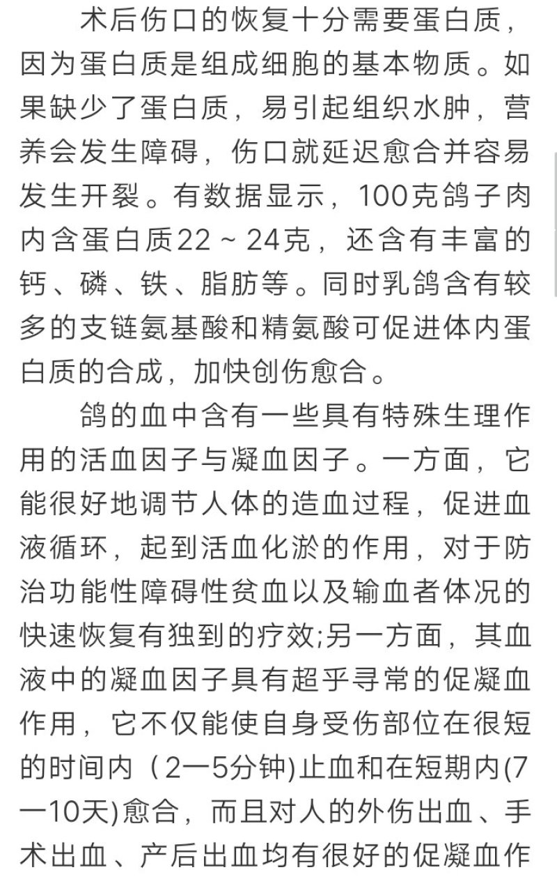 信鸽