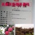 葡萄树