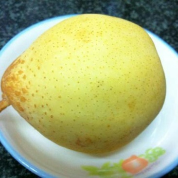 10斤装，新鲜雪梨