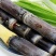 现砍黑皮甘蔗9斤装3根整装，36元一箱