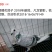 种鸽信鸽120一对，花色不同价格不同
