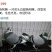 种鸽信鸽120一对，花色不同价格不同