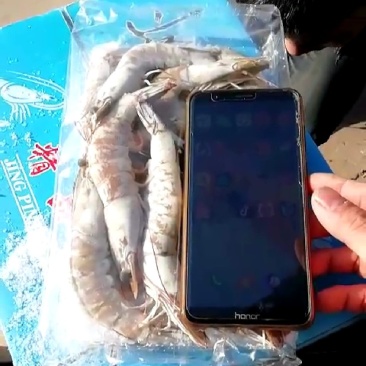 自产自销纯一手货源纯海水南美虾