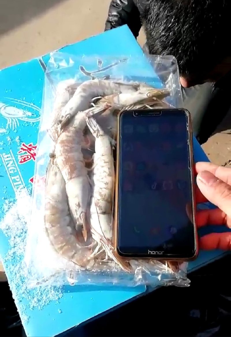 自产自销纯一手货源纯海水南美虾