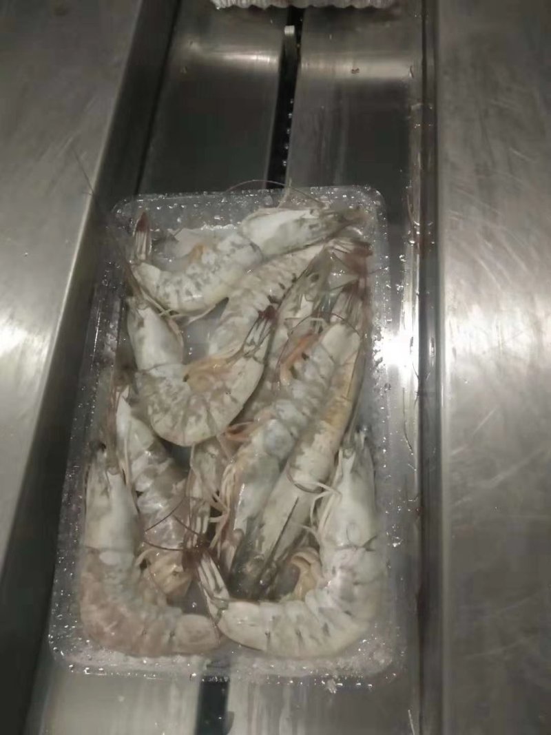 自产自销纯一手货源纯海水南美虾