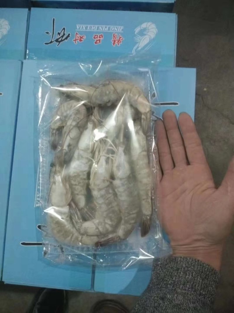 自产自销纯一手货源纯海水南美虾