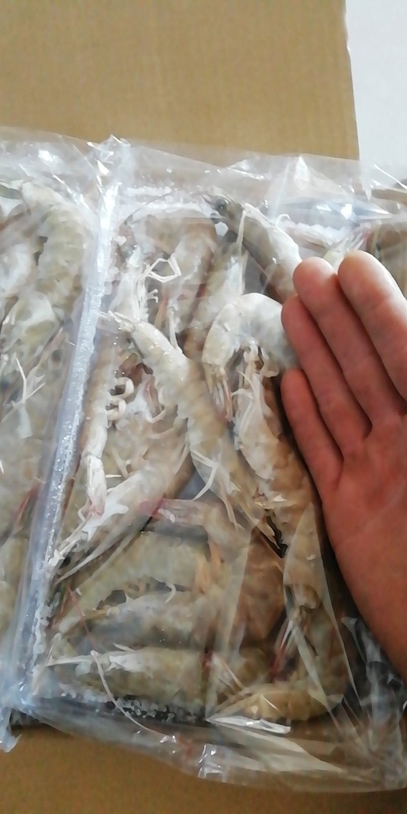 自产自销纯一手货源纯海水南美虾