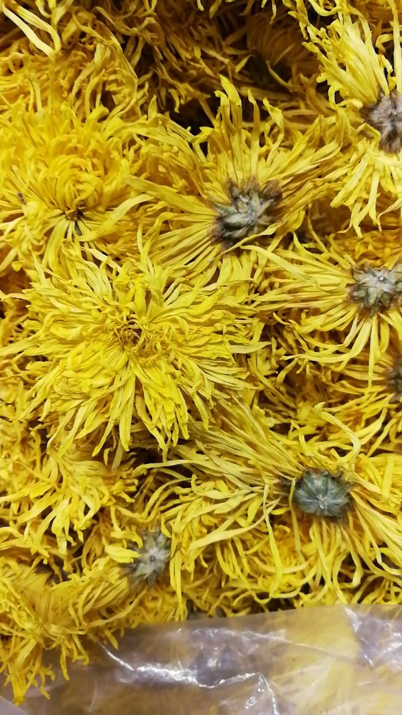 菊花茶