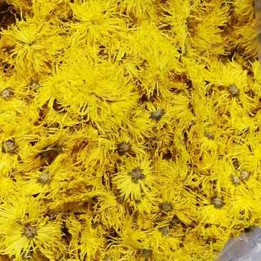菊花茶