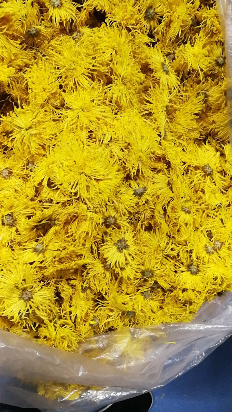 菊花茶