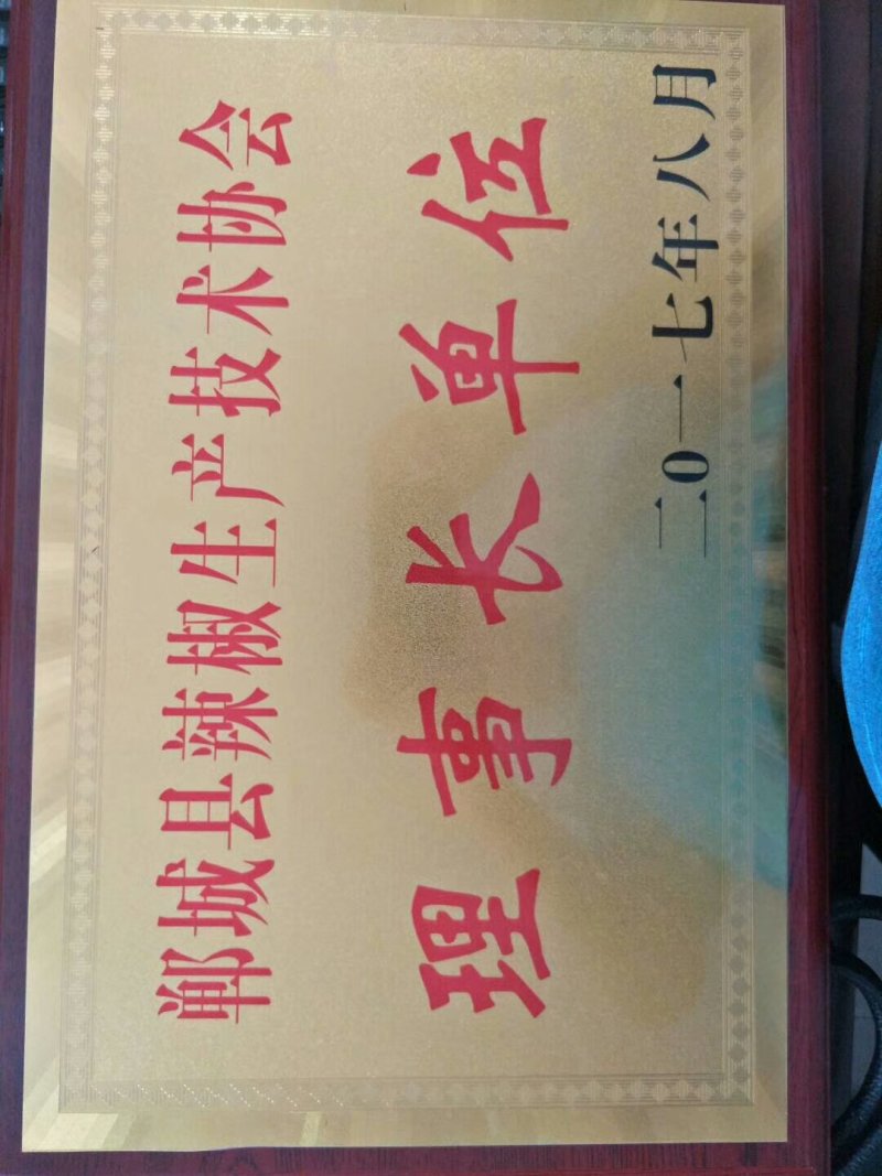 真空包装腌制辣椒