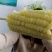 东北笨玉米非转基因甜玉米万诺