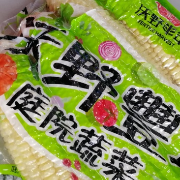 东北笨玉米非转基因甜玉米万诺