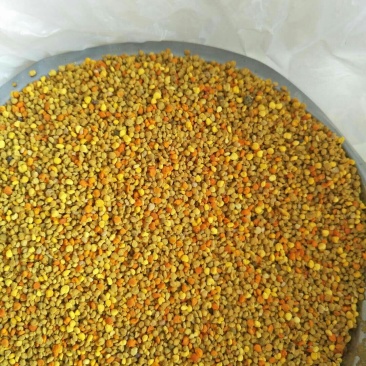 蜂花粉百花粉混合粉有多种花粉混合而成蜂粮