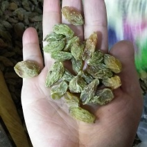 新疆吐鲁番葡萄干绿香妃