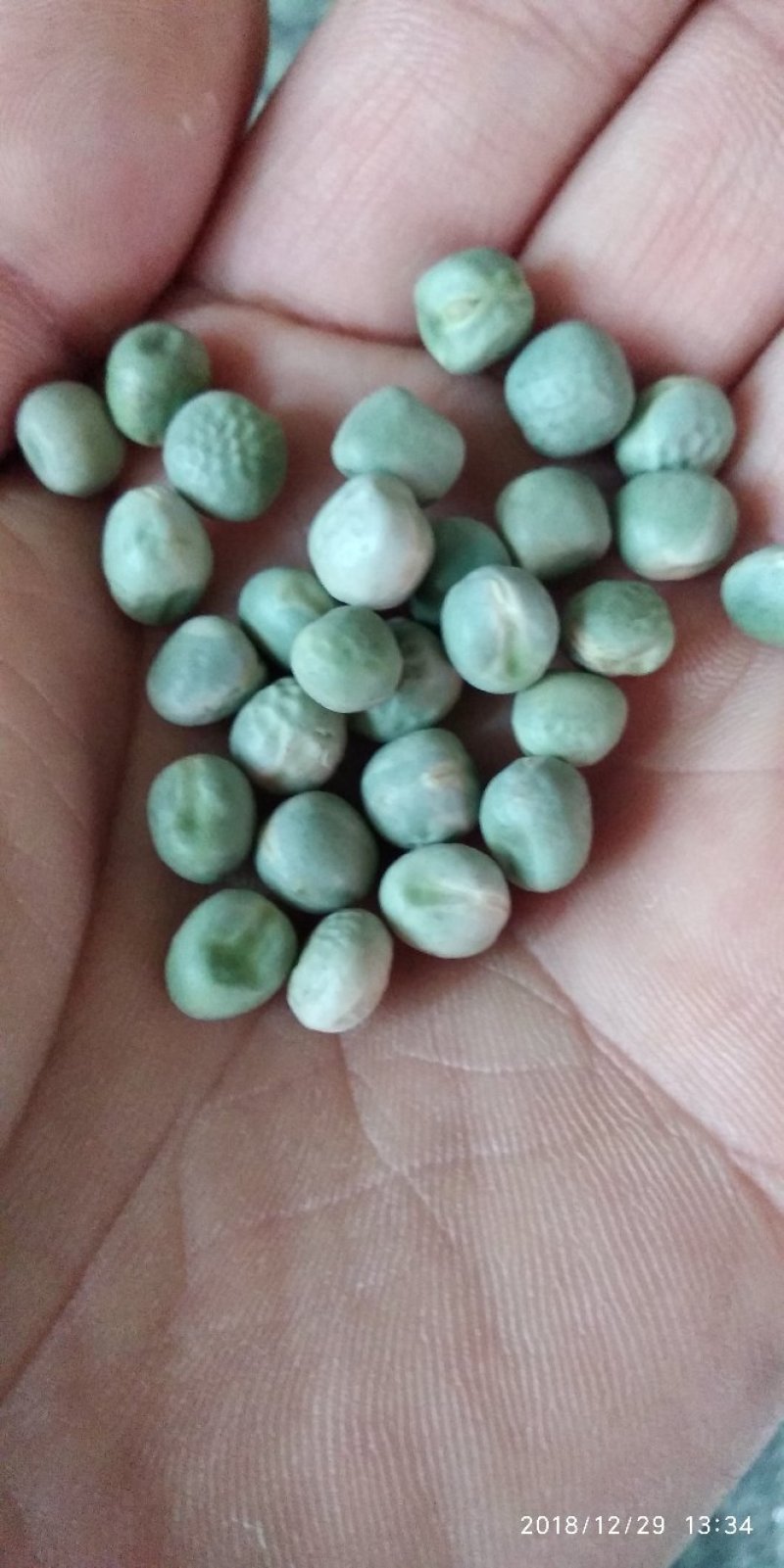 优选特级干青豌豆豌豆一件96斤大量现货品质保证