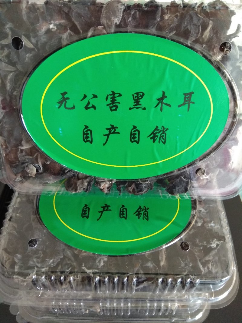 黑木耳