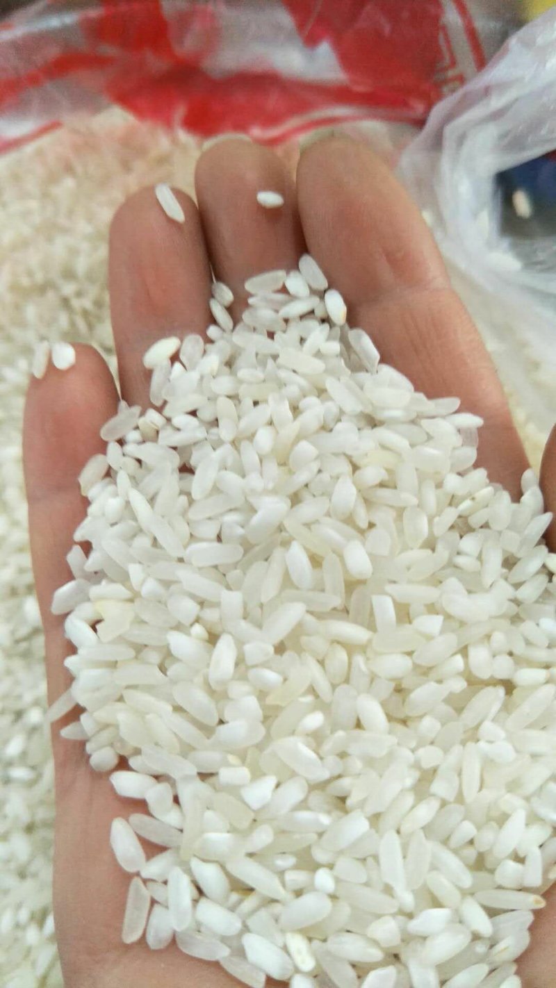 饭堂米食堂米工厂用米学校用米米粉用米涨饭米