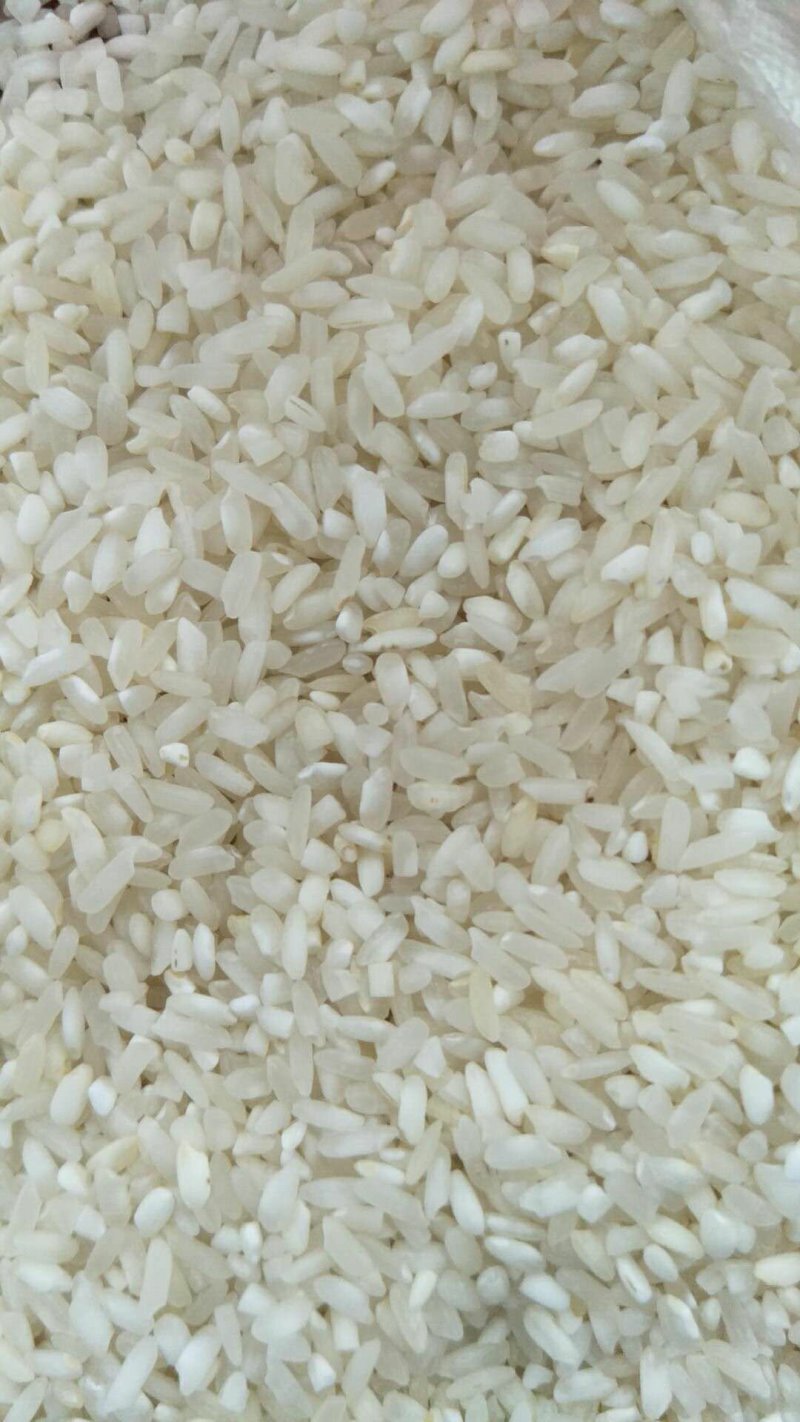 饭堂米食堂米工厂用米学校用米米粉用米涨饭米